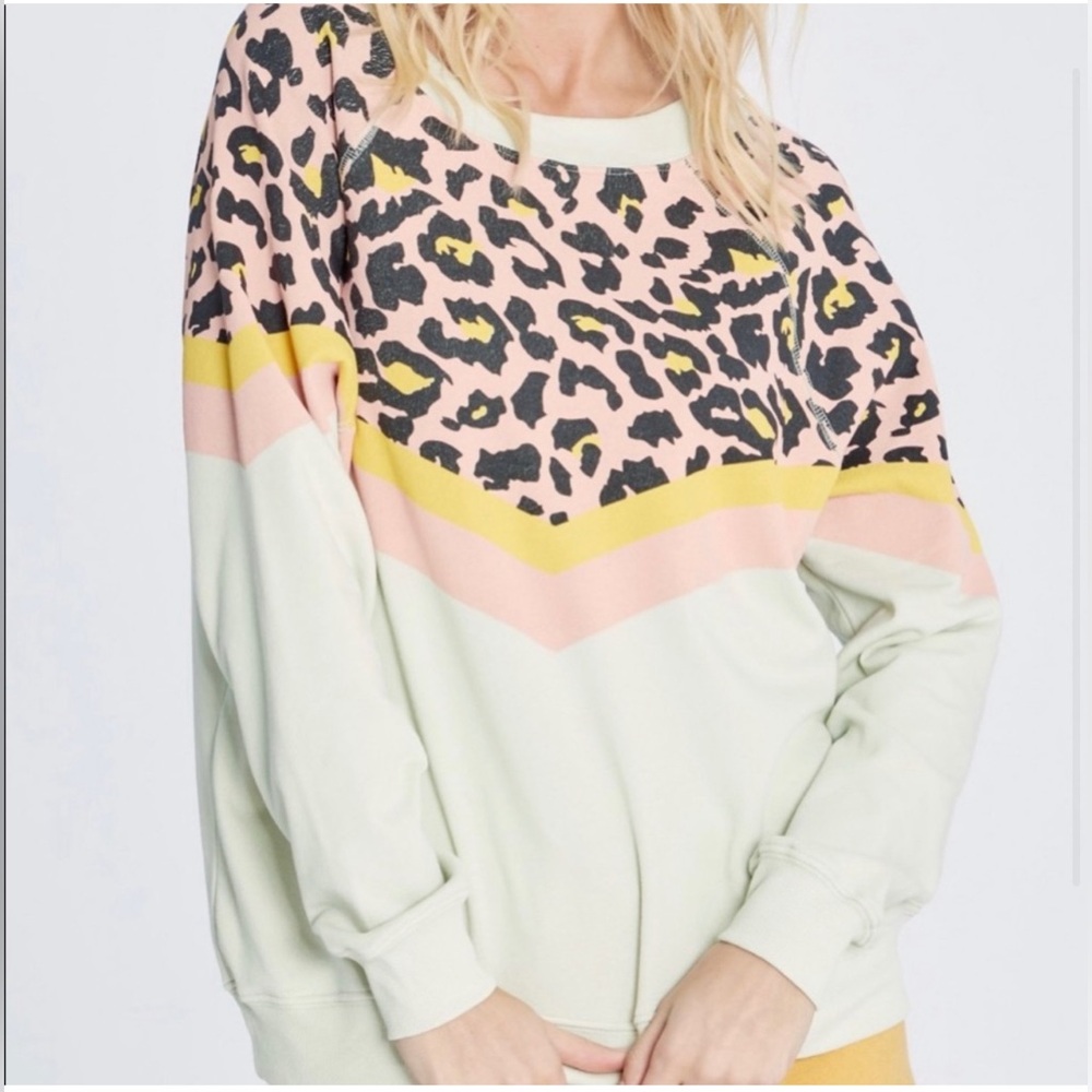 Wildfox Party Cat Sommers Sweatshirt
